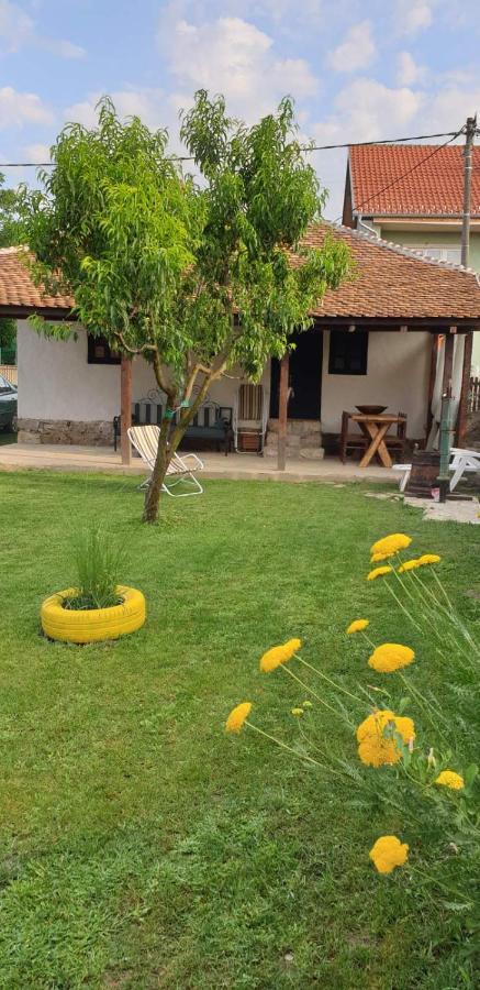 Villa Stara Kovacnica Golubac Exterior foto